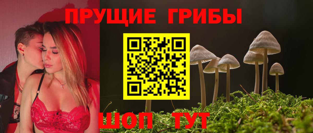 Псилоцибиновые грибы прущие грибы Владикавказ